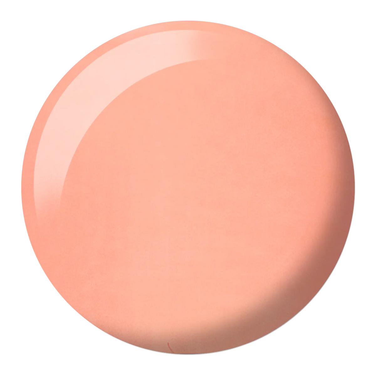 Pink Salmon #586